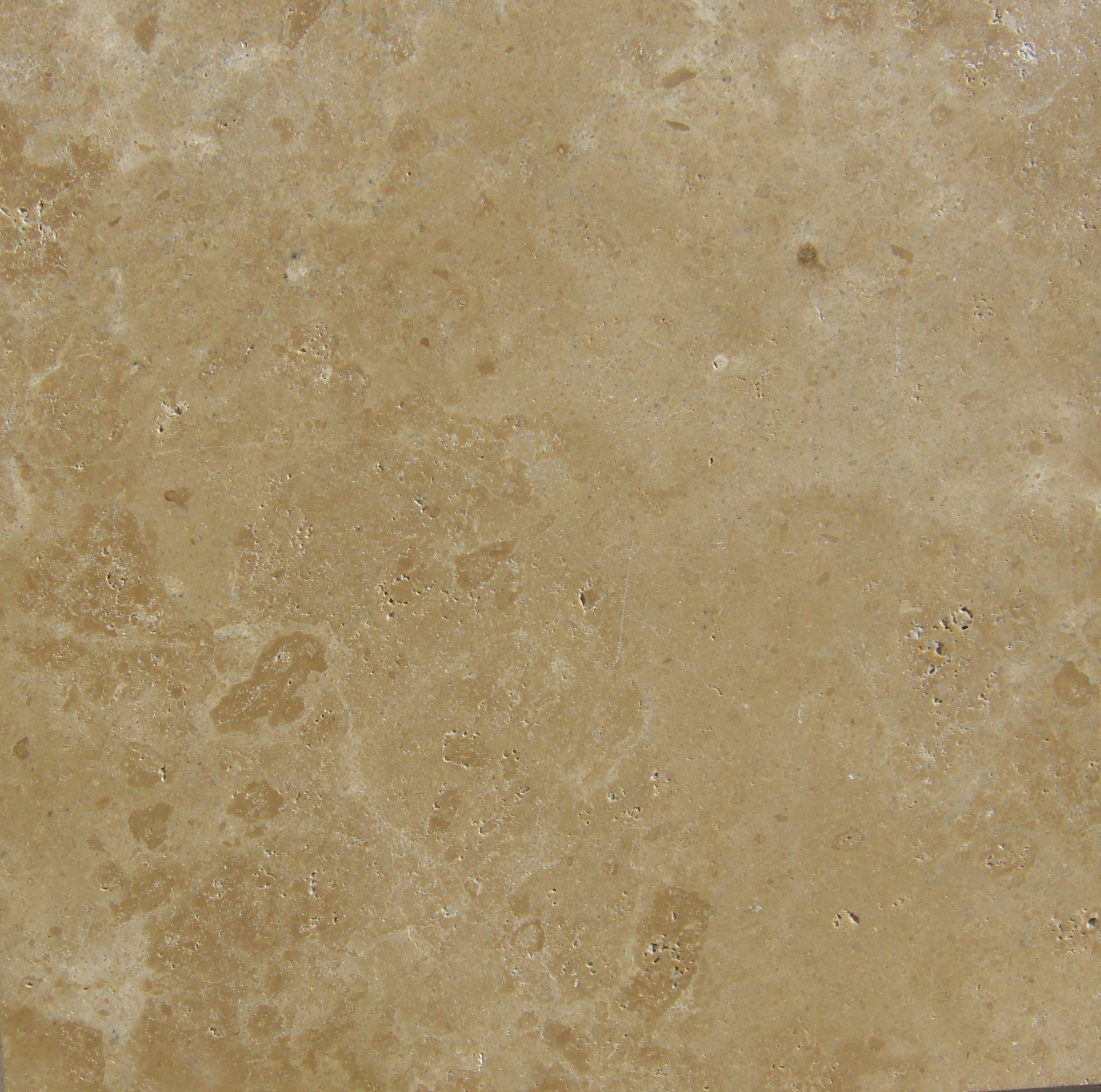 honed / unfilled travertine